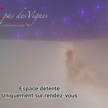 A 2 Pas Des Vignes, Hebergements Et Spa, Maison Numero 6, A Chateauneuf Du Pape 外观 照片